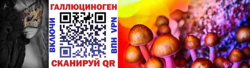 мега маркетплейс  Мариинский Посад  Псилоцибиновые грибы Psilocybe 